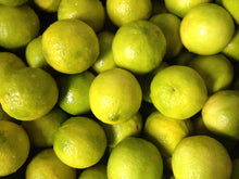 Load image into Gallery viewer, Lime Pickle