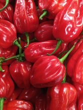 Load image into Gallery viewer, Scotch Bonnet Pickle