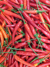 Load image into Gallery viewer, "Sweet 'n' Hot" Chilli Sauce