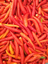 Load image into Gallery viewer, "Sweet 'n' Hot" Chilli Sauce